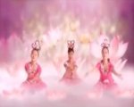 Lotus Dance: a feminine spiritual inspiration video clip