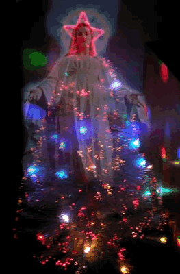 Our Lady of the Nativity Fir
