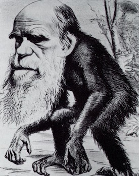 Caricature of Darwin: Would Jesus believe in evolution?