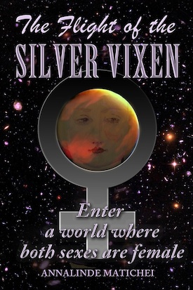 Front cover of The Flight of the Silver Vixen