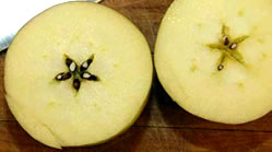 Apple-seeds